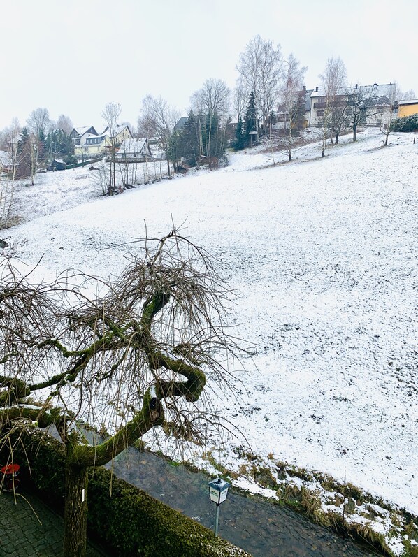 A snow-covered field with a tree in the foreground and houses in the background. - Pension Weiberwirtschaft (Marienberg)