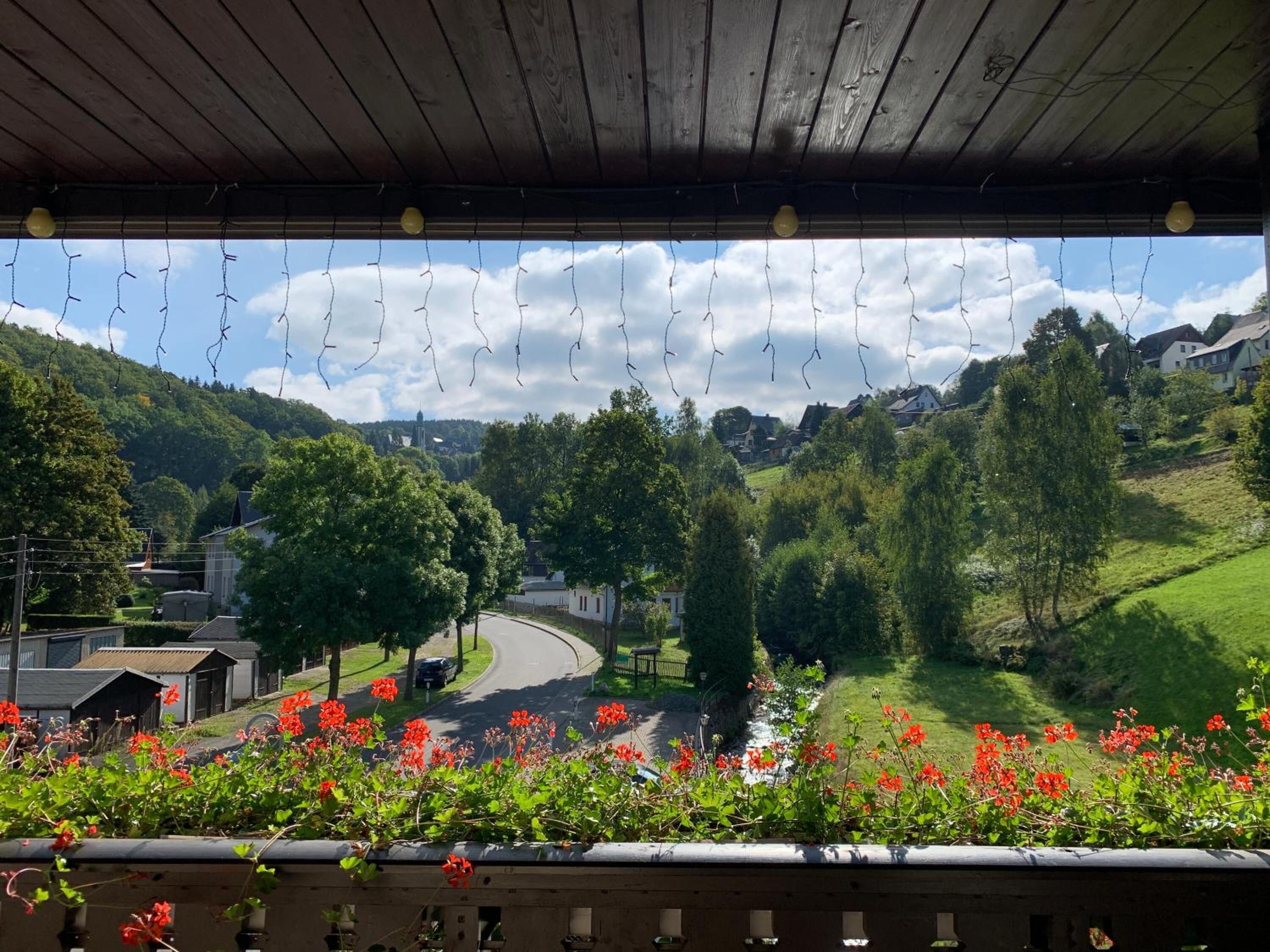 A view from a covered balcony with a wooden ceiling and hanging light bulbs, overlooking a winding road, green hills, and red flowers in the foreground.