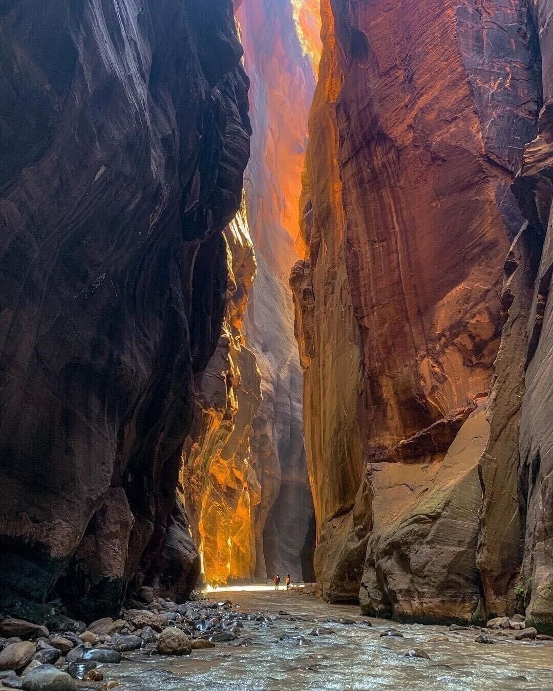 A narrow canyon with a river flowing through it.