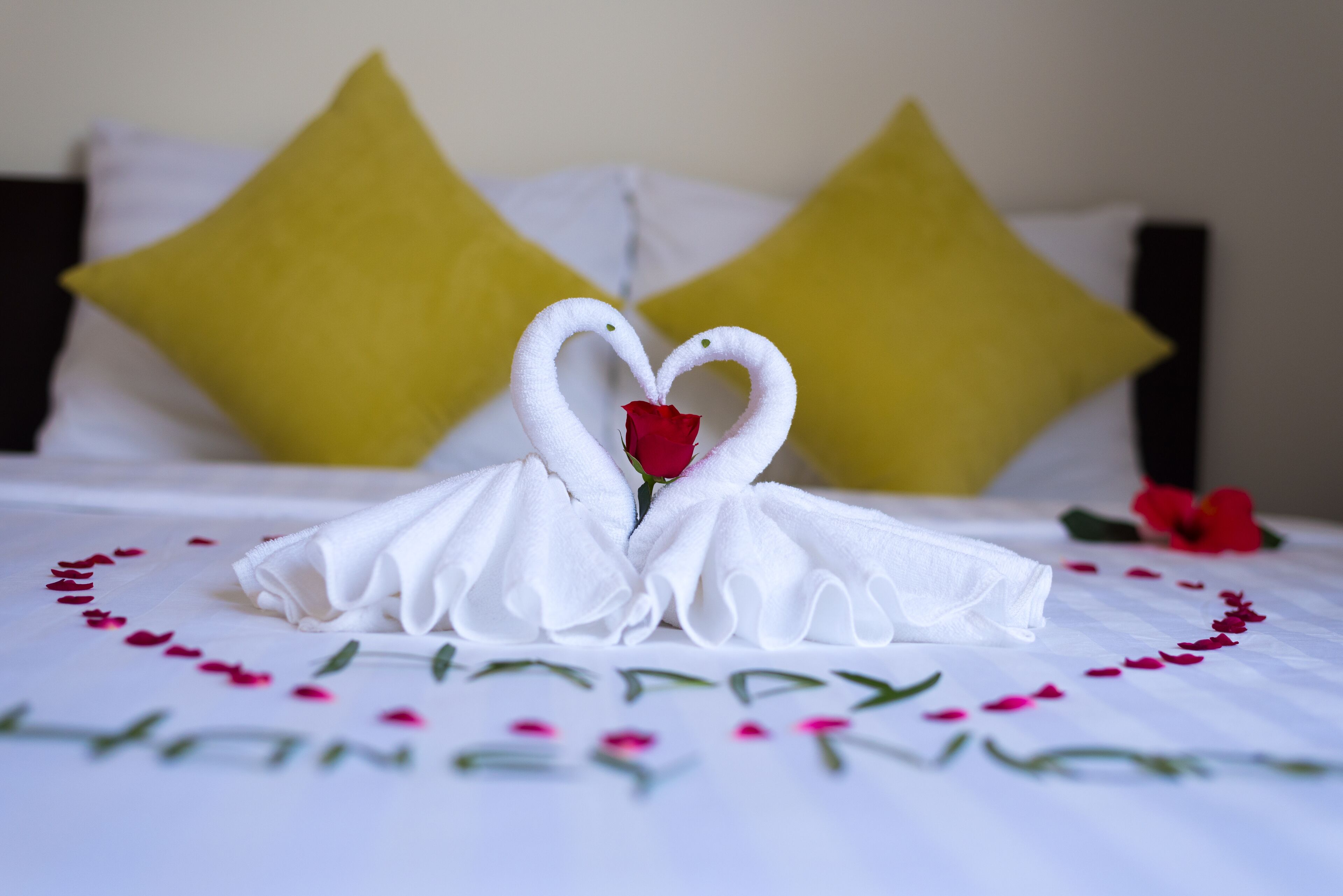 Photo - Lavila Homestay Hoi An