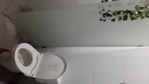 Shower, towels, soap, shampoo