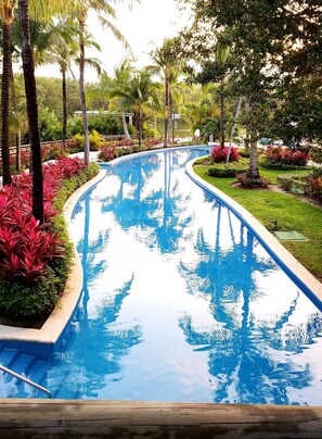 A swimming pool with a curved design, surrounded by lush greenery and palm trees.