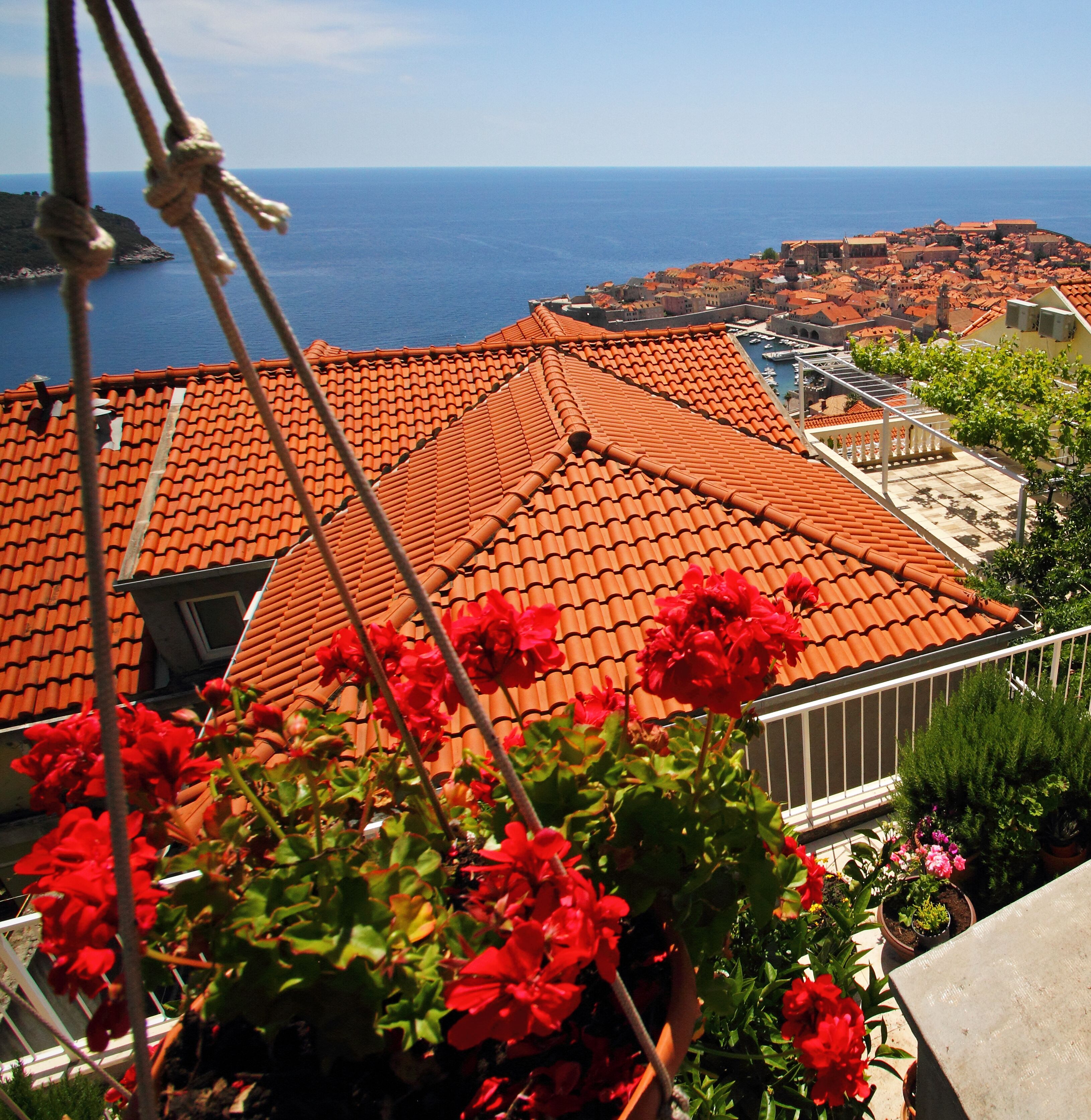 A rooftop with terracotta tiles, red flowers in the foreground, and a view of the sea and town below.