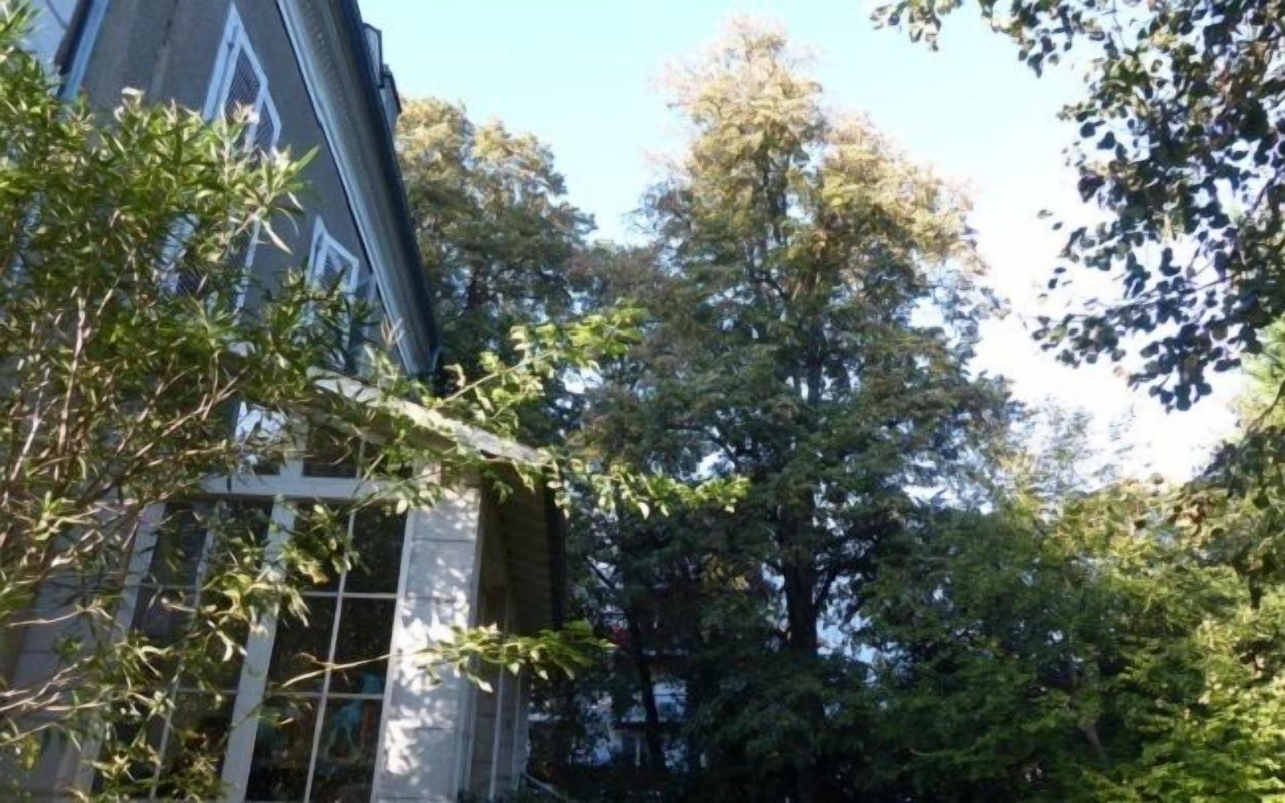 Foto - Villa Dampierre