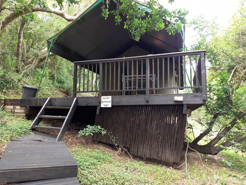 Saloon luxury tent is a 9X4m room, surrounded by vegetation