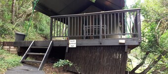 Saloon luxury tent is a 9X4m room, surrounded by vegetation