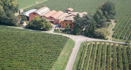 VILLA CASTELLAZZO FARM HOLIDAY