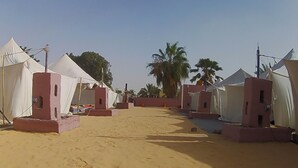 A row of white tents with pink bases, set on sandy ground, with palm trees in the background. - Le Triskell Auberge - Hostel (Nouakchott)