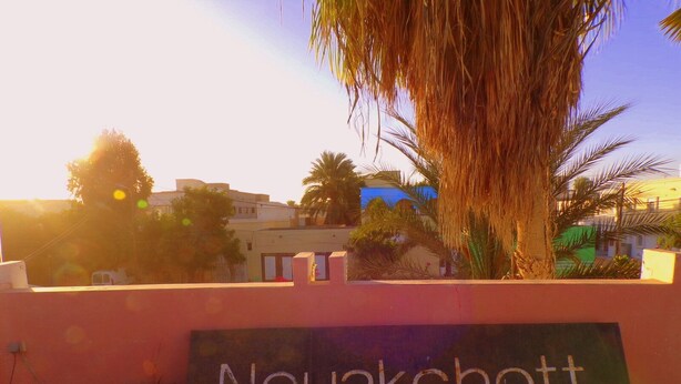 A sign with the name "Nouakchott" on a wall, with a palm tree and buildings in the background. - Le Triskell Auberge - Hostel (Nouakchott)