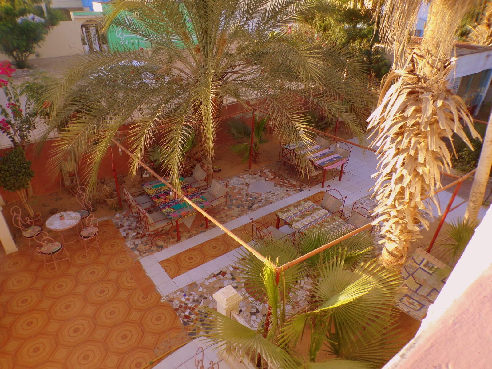 Une terrasse extérieure agrémentée de palmiers, dotée d’un sol en mosaïque et d’un espace salon extérieur.