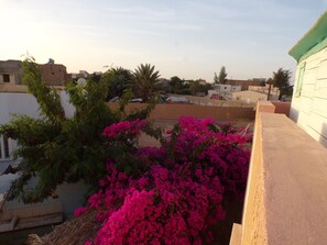 View from property - Le Triskell Auberge - Hostel (Nouakchott)
