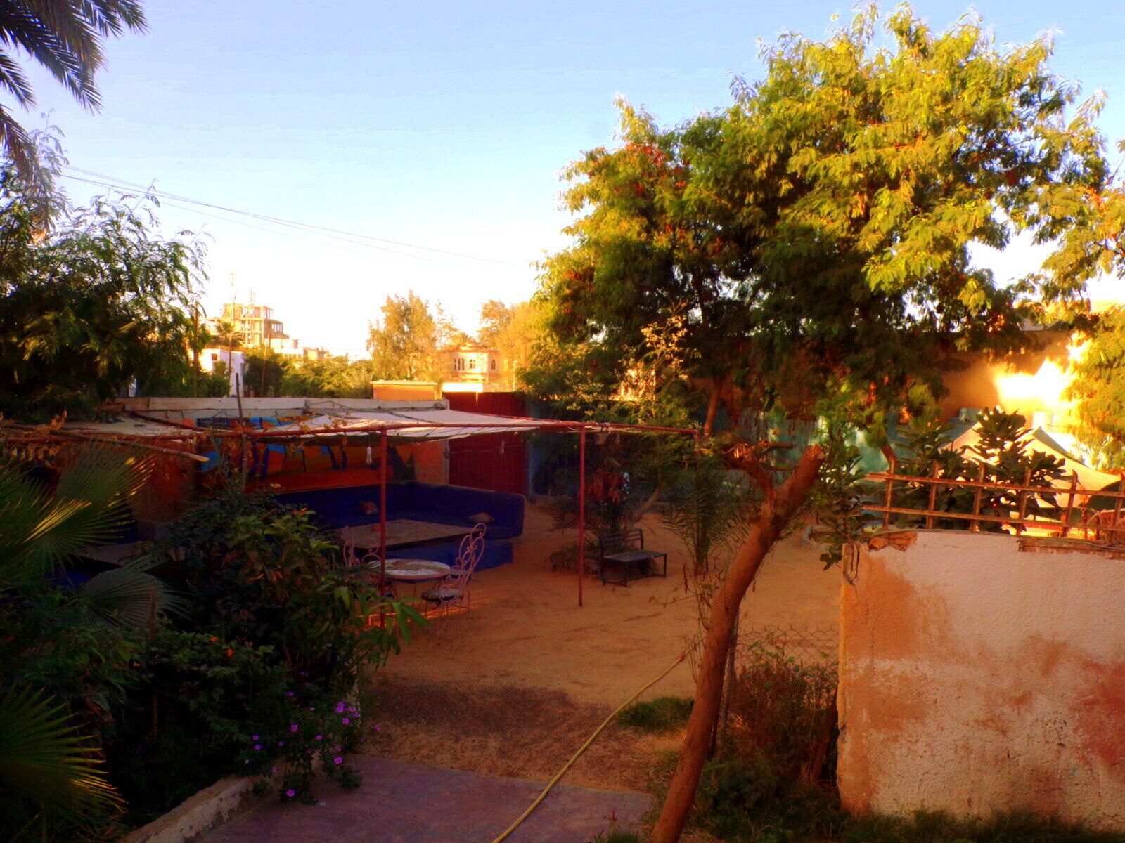 Une cour avec un espace de repos abrité, un arbre et un bâtiment en arrière-plan.