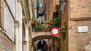 Unclassified image, 2 of 8, button - Il Nido delle Logge (Siena)
