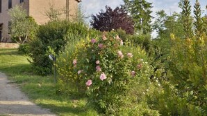 Billede uden beskrivelse, 4 af 22, knap