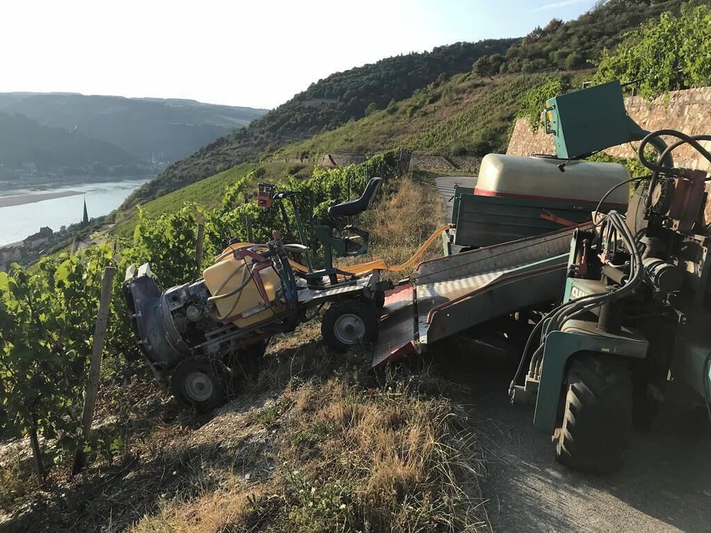 Ein Weinberg mit Traktor und Anhänger.