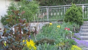 Un jardín con diversas plantas y flores, una valla metálica y una escalera que sube hacia un edificio.