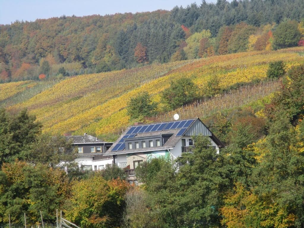 Una casa con paneles solares en el techo, rodeada de follaje otoñal.