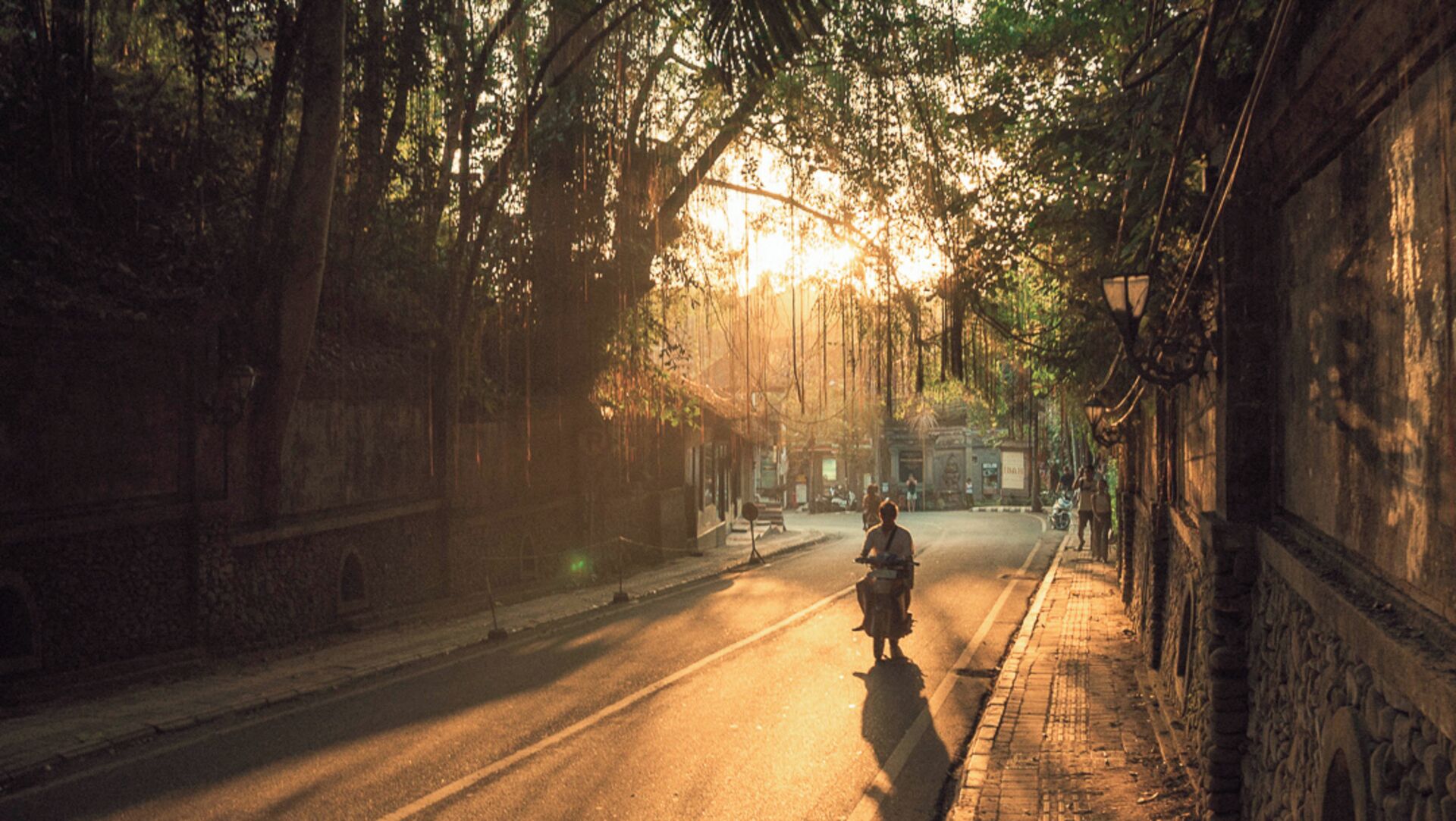 Une rue bordée d’arbres et d’immeubles, où l’on voit une personne qui marche.