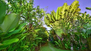 A garden pathway surrounded by lush tropical plants and a stone path. - Bali Villa Near the Beach, 2064 (Seminyak)