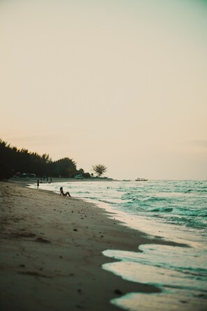 Enjoy a serene beach experience with gentle waves and lush trees.