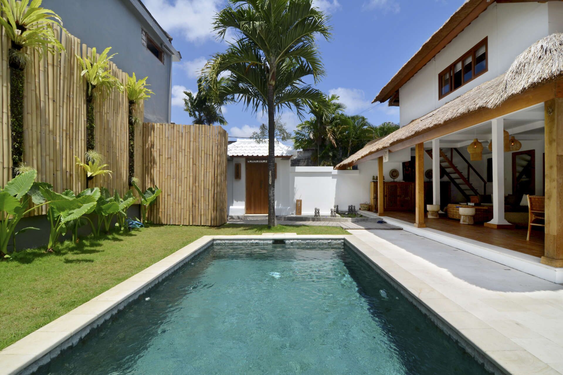A swimming pool with a wooden deck, a bamboo fence, and a palm tree.