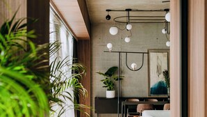 Una sala de estar moderna con sofá, una mesa de centro y una zona de comedor con sillas y una mesa. Hay una planta en maceta y un cuadro en la pared.