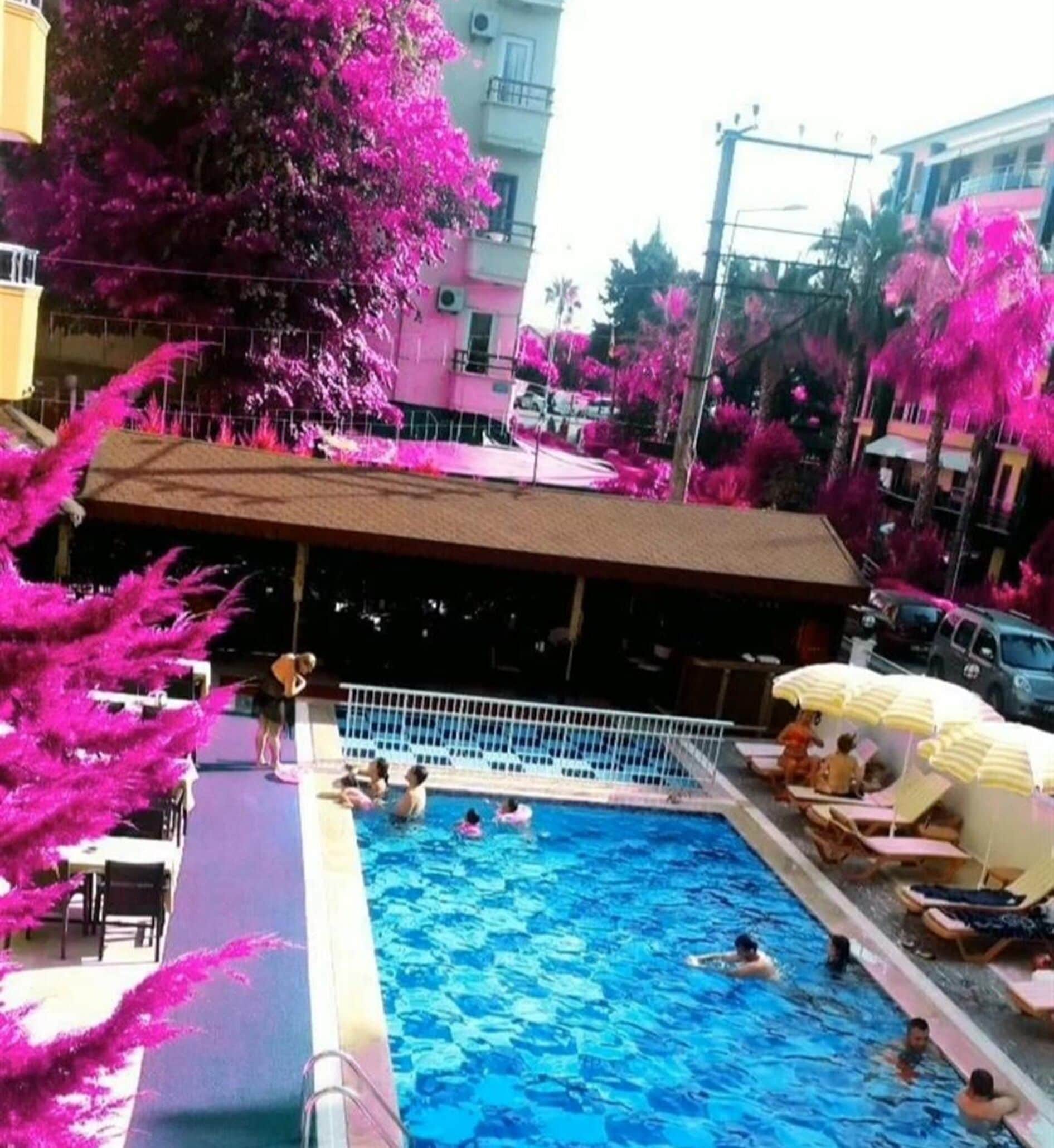 Foto - Yaman Life Hotel