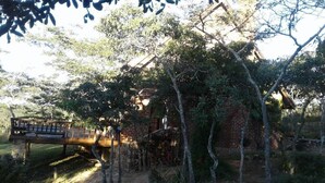 Una cabaña rústica con una terraza de madera y un muro de ladrillo, rodeada de árboles y un cielo despejado.