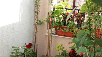 Apartament urbà | Balcó