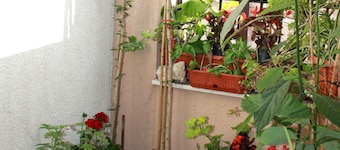 Apartment Bucevic