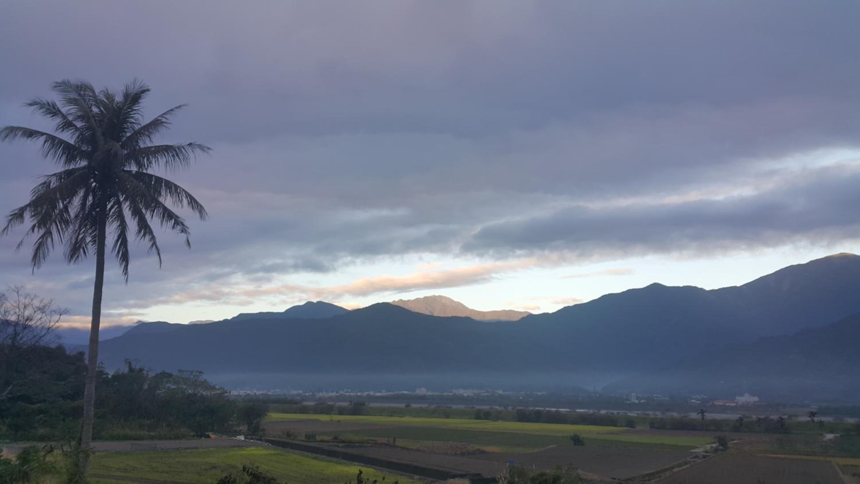 A landscape with mountains, a palm tree, and fields.