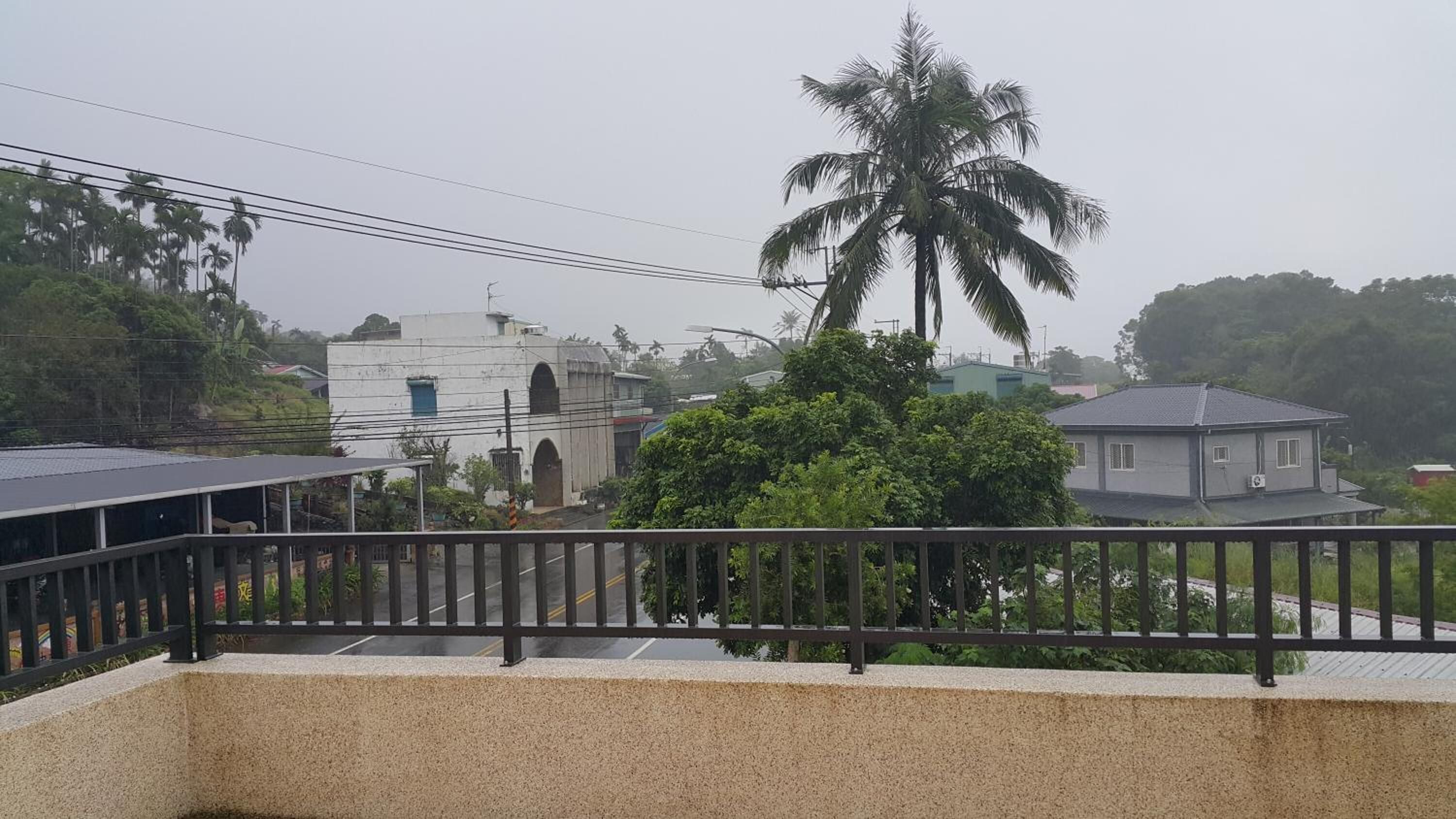 A residential area with a white building, a palm tree, and a house with a grey roof.