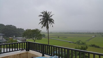 Vista desde un balcón sobre un campo verde con una palmera y un tanque de agua a lo lejos.
