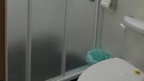 A bathroom with a glass shower enclosure, a toilet, and a towel rack with folded towels. - 7 Milefog B&B (Yuli)