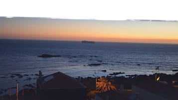 A coastal view with a ship in the distance, rocky shoreline, and buildings with flags.