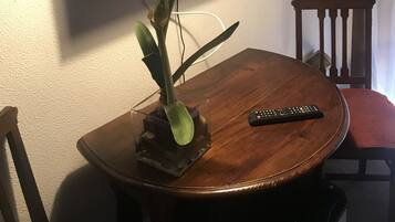 Basic Suite, City View | Television