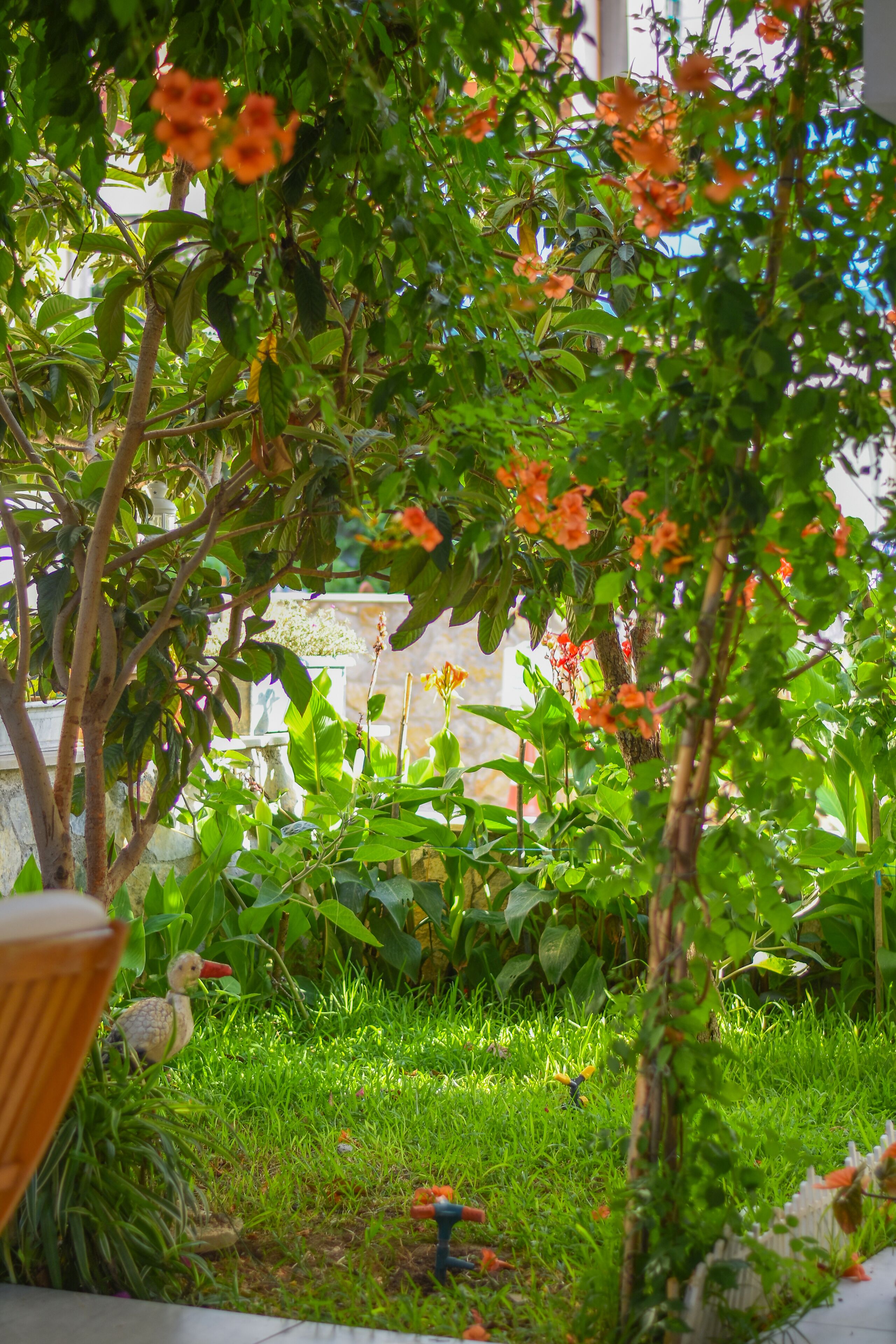 Un exuberante jardín con diversas plantas y flores, un bebedero para pájaros y una estatua al fondo.