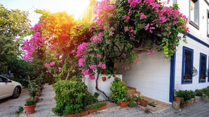 Un edificio con fachada blanca y detalles azules, rodeado de plantas en macetas y enredaderas con flores.