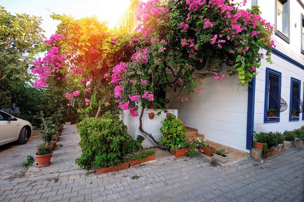 Un bâtiment à l’extérieur blanc, agrémenté de bordures bleues, entouré de plantes en pot et de plantes grimpantes en fleurs.