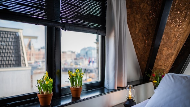 A room with a bed, a window with blinds, and two potted plants on the windowsill.