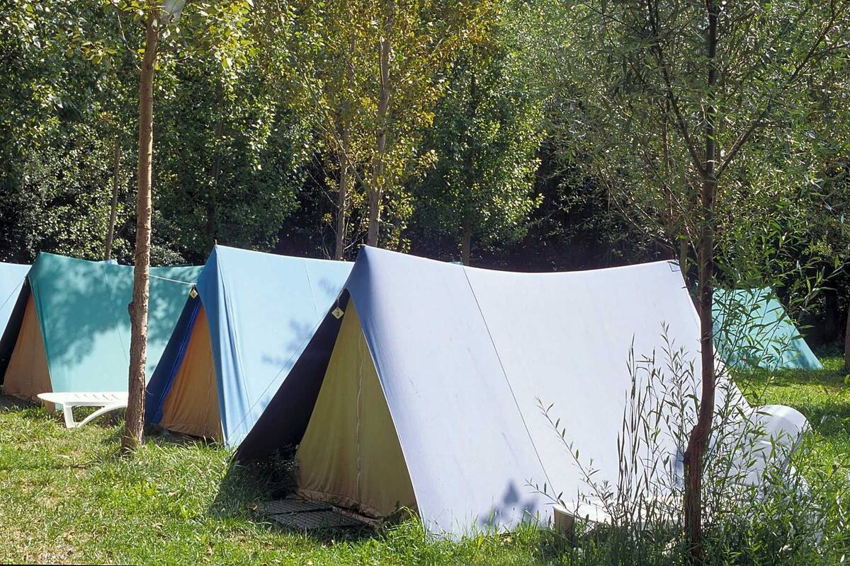 Une rangée de tentes est installée dans une zone herbeuse, avec des arbres en arrière-plan.