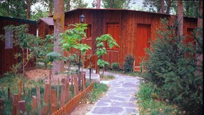 A rustic wooden cabin with a stone pathway leading to a door. - Pirineos Cien Lagos (Esterri D'Aneu)