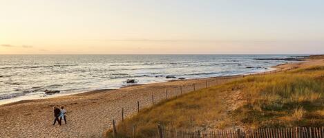 بالقرب من الشاطئ