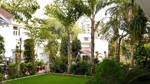 Un jardin bien entretenu, avec une pelouse, diverses plantes en pot et de grands arbres.