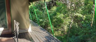 Luxury 8 sleeper tent - Tent 15 & 16