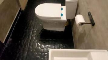 A small bathroom with a toilet, a sink, and a shower.