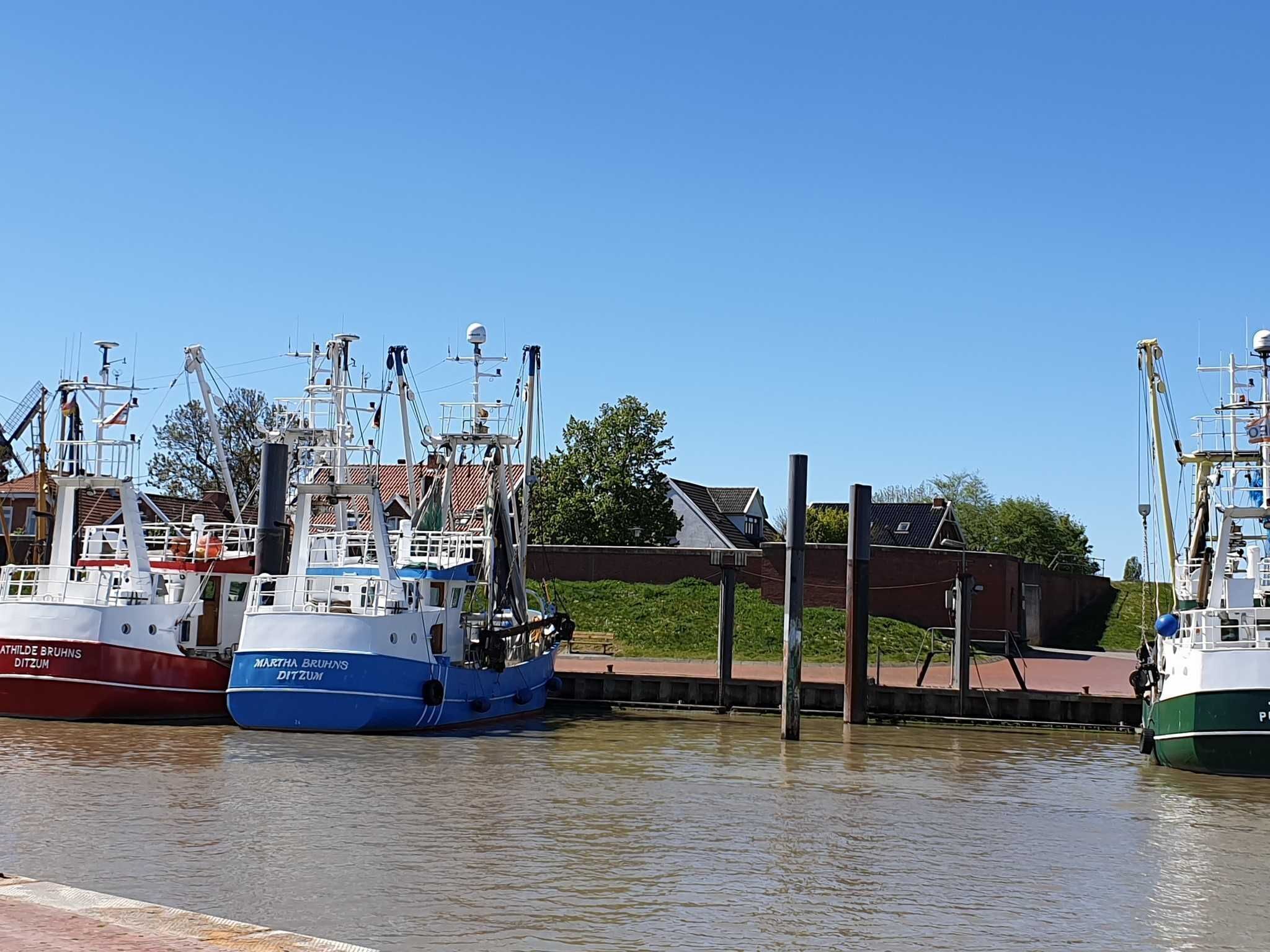 A marina with several boats docked, a clear sky, and a building with a red roof in the background.