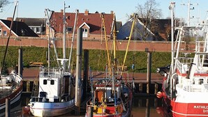 A marina with several boats docked, a bridge in the background, and a grassy area. - Berth 6 - Apartments Meerhuus, 45229 (Jemgum)