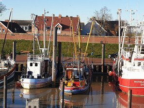 Een jachthaven met verschillende boten afgemeerd, een gebouw met een rood dak en een gazon op de achtergrond.