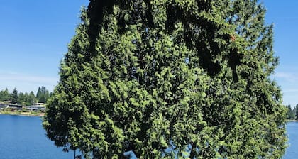 Seattlen lentokenttä / raitiovaunu / SeaTac / 2Bdrm Apt / rantahotelli